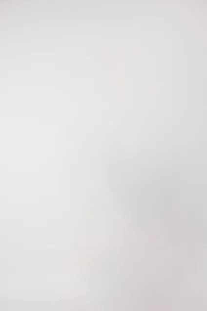 graues Platzhalterbild