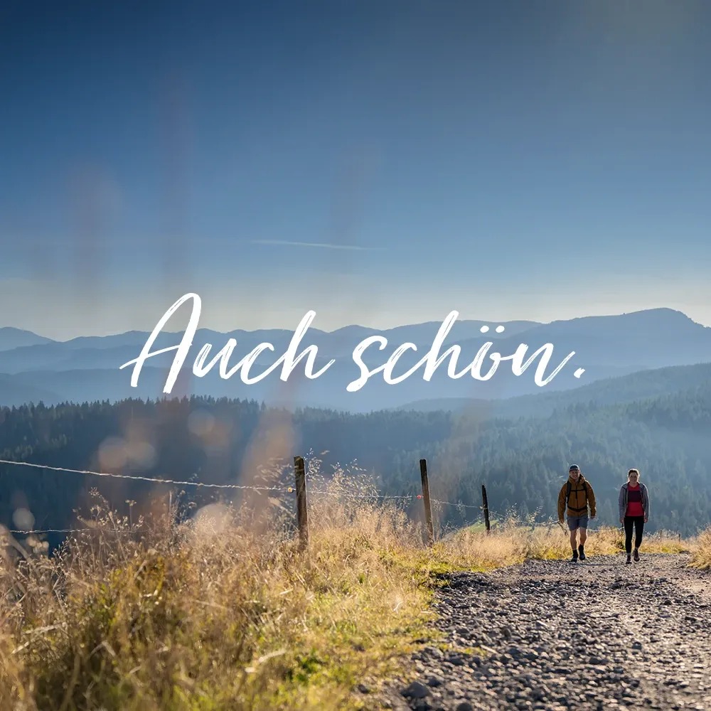 Text: Auch schön. Auf Landschaftsbild mit Wanderern.